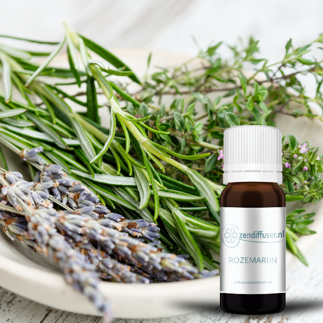 Rozemarijn - 10 ml - 100% natuurzuivere etherische olie