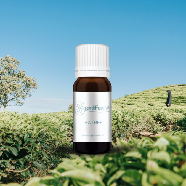 Tea Tree - 10 ml - 100% natuurzuivere etherische olie