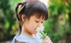 Aromatherapie voor kinderen: welke etherische olie?