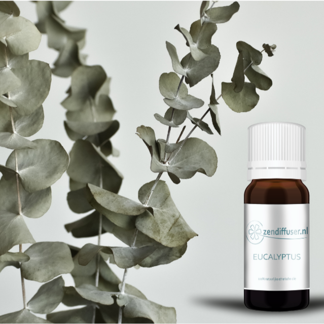 Eucalyptus - 10 ml - 100% natuurzuivere etherische olie