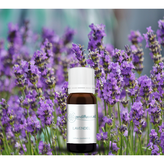 Lavendel - 10 ml - 100% natuurzuivere etherische olie