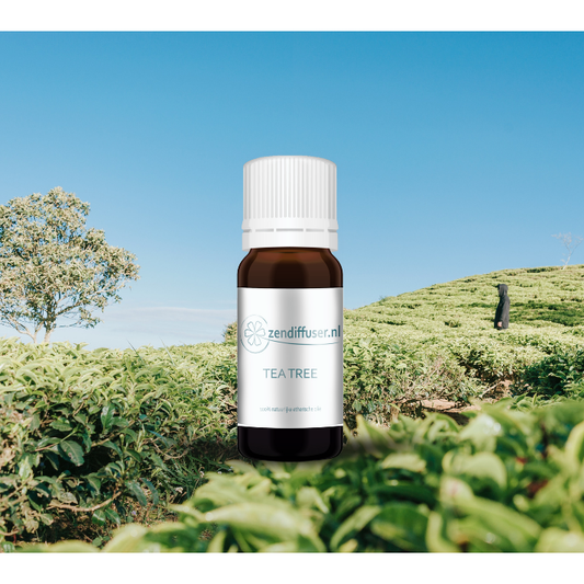 Tea Tree - 10 ml - 100% natuurzuivere etherische olie